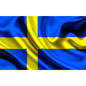 Промокод (купон) Google Ads (AdWords) 4000 SEK. Швеция.