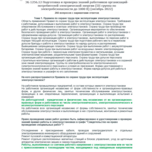 ЭБ 1256.12 (октябрь 2022) 3 группа до 1000В