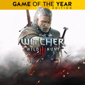 The Witcher 3 Wild Hunt  Game of the Year Edition STEAM