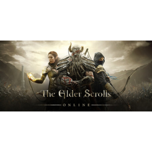 The Elder Scrolls  Online (ОБЩИЙ STEAM  АККАУНТ)