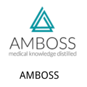 AMBOSS Premium счёт 1 месяцев гарантия