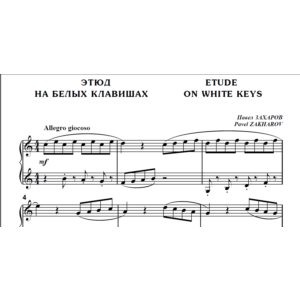 8с01 Этюд на белых клавишах, ПАВЕЛ ЗАХАРОВ