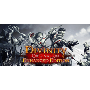 Divinity: Original Sin Enhanced Edition (Steam Gift RU)