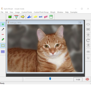 Руководство: морфинг в программе Sqirlz Morph