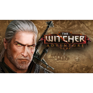 The Witcher Adventure Game Steam GIFT RU+CIS 💳0%
