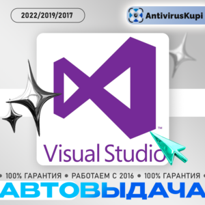 Visual Studio Professional 2022/2019/2017