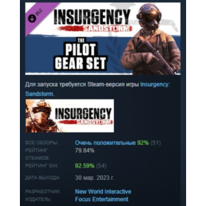 Insurgency: Sandstorm - Pilot Gear Set DLC STEAM РОССИЯ
