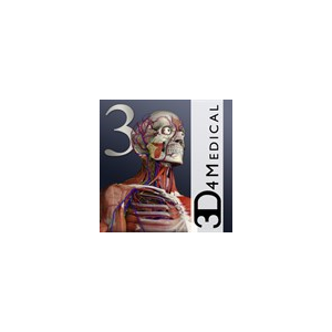 Essential Anatomy 3 ✅ Microsoft Store ПК PC Активация