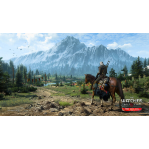 ❤️ The Witcher 3 III Wild Hunt Steam Offline