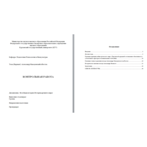 Контрольная работа Александр Македонский и Восток