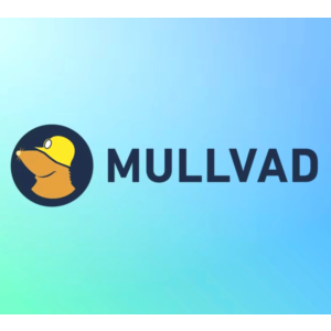 🛡️MULLVAD МУЛЛВАД🕷 Аккаунт 1 месяц 🕷