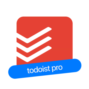 Todoist Pro | Подписка 1/12 мес. на Ваш аккаунт