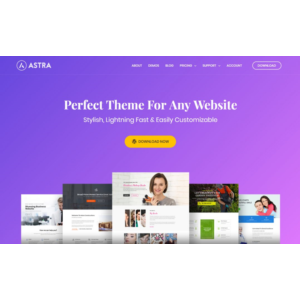 DIVI|Astra|Elementor|RankMath|WP-Rocket PRO LicenseKEY
