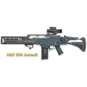 Макрос на H&K G36 Assault для Warface