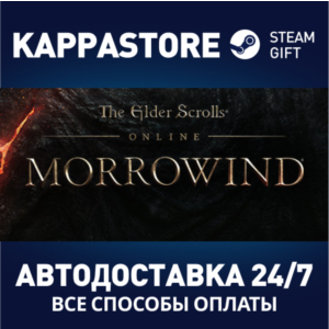 The Elder Scrolls Online Standard Edition⚡Steam RU