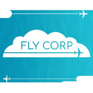 Fly Corp ✔️STEAM Аккаунт