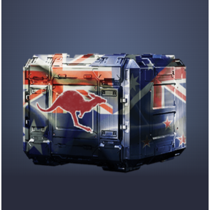 Австралийский подарок (23)