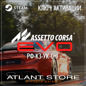Assetto Corsa EVO - Ключ Steam - РФ+КЗ+УК+СНГ