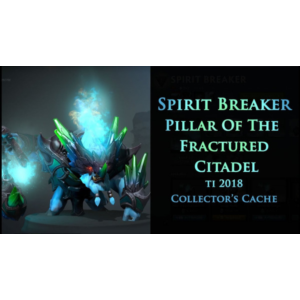 Pillar of the Fractured Citadel✅Collector´s Cache 2018