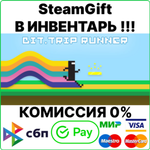 BIT.TRIP RUNNER [SteamGift/RU+CIS]
