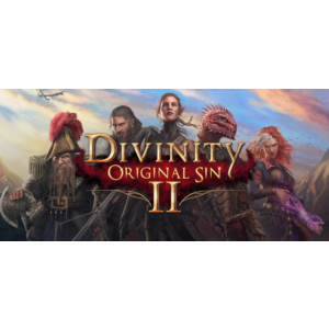 ⭐️ Divinity Original Sin 2 - Definitive Edition [Steam]