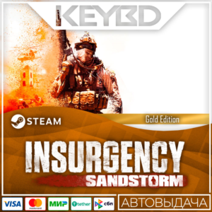 Insurgency: Sandstorm - 4-Year Edition 🚀АВТО💳0% Карты