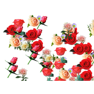 Розы для тебя