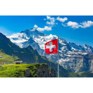 🥇Элитный прокси HTTP / SOCKS5 Швейцария - 30/90 дней🔐