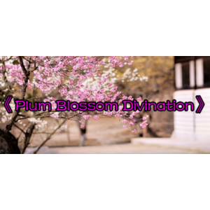 《梅花易数》 * STEAM РОССИЯ ⚡ АВТОДОСТАВКА 💳0% КАРТЫ