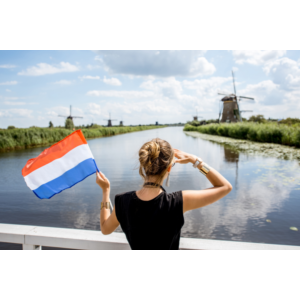 🥇Элитный прокси HTTP/SOCKS5 Нидерланды - 30/90 дней🔐