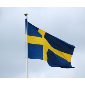 🥇Элитный прокси HTTP / SOCKS5 Швеция - 30/90 дней🔐