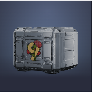 Подарок в честь 9 Мая (23)