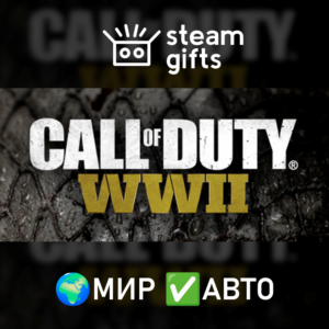 Call of Duty: WWII МИР АВТО