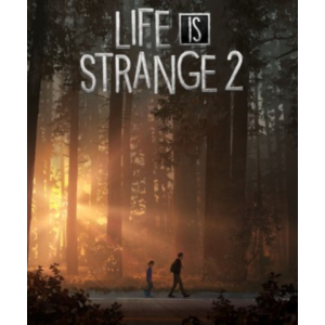 🎭Life is Strange 2✔️STEAM Аккаунт | ОФЛАЙН