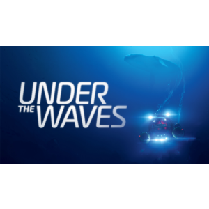 ⭐️ Under The Waves [Steam/Global][CashBack]