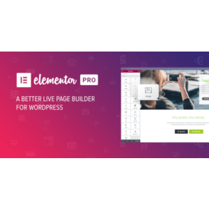 Elementor PRO - Best WordPress Page Builder 3.20.2