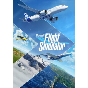 ✅ Microsoft Flight Simulator Standard Game of the Year