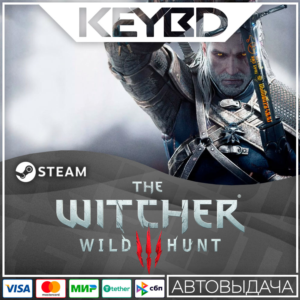 The Witcher 3: Wild Hunt 🔥 Steam Gift 💳0%