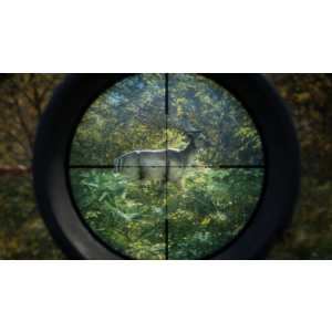 theHunter Call of the Wild | EPIC GAMES АККАУНТ + ПОЧТА