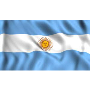 Покупайте игры/дополнения/подписку в Аргентине(ARS)
