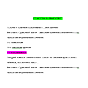 Анатомия центральной нервной системы - ответы СИНЕРГИЯ