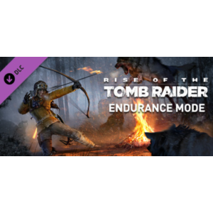 Endurance Mode (Steam Gift Россия)