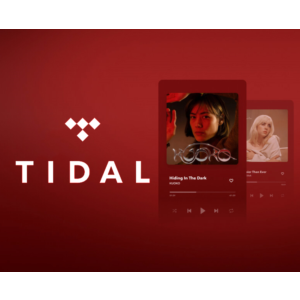 ✅АККАУНТ TIDAL HiFi PLUS 2/3/4  МЕСЯЦЫ🔥Обновить