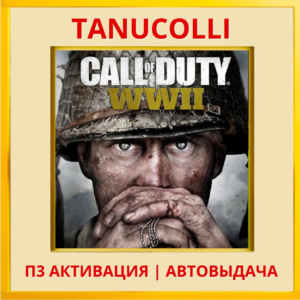 ☀️ Call of Duty WWII Gold Edition (PS4/RU) П3 Активация