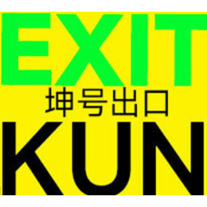 EXIT KUN ✔️STEAM Аккаунт