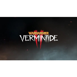 💥Warhammer: Vermintide 2 (PS4/PS5/RU) Активация П2-П3