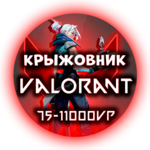 24/7 RU VALORANT POINTS 240-11000 VP ВАЛОРАНТ РОССИЯ