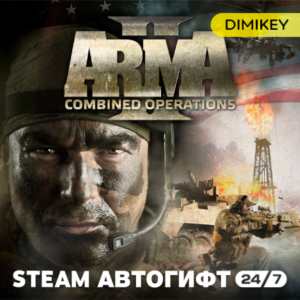 🟨 Arma 2 Combined Operations Автогифт RU