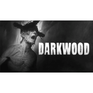 🍓 Darkwood (PS5/RU) П3 - Активация