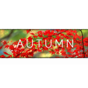 Autumn [STEAM KEY/REGION FREE] 🔥